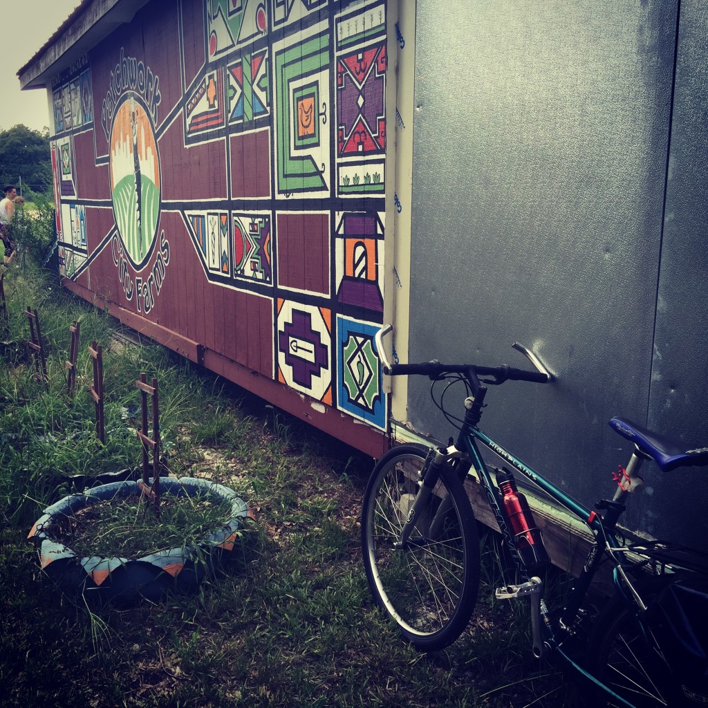 Crate bought off Craigslist by Jamila, owner of Patchwork City Farms