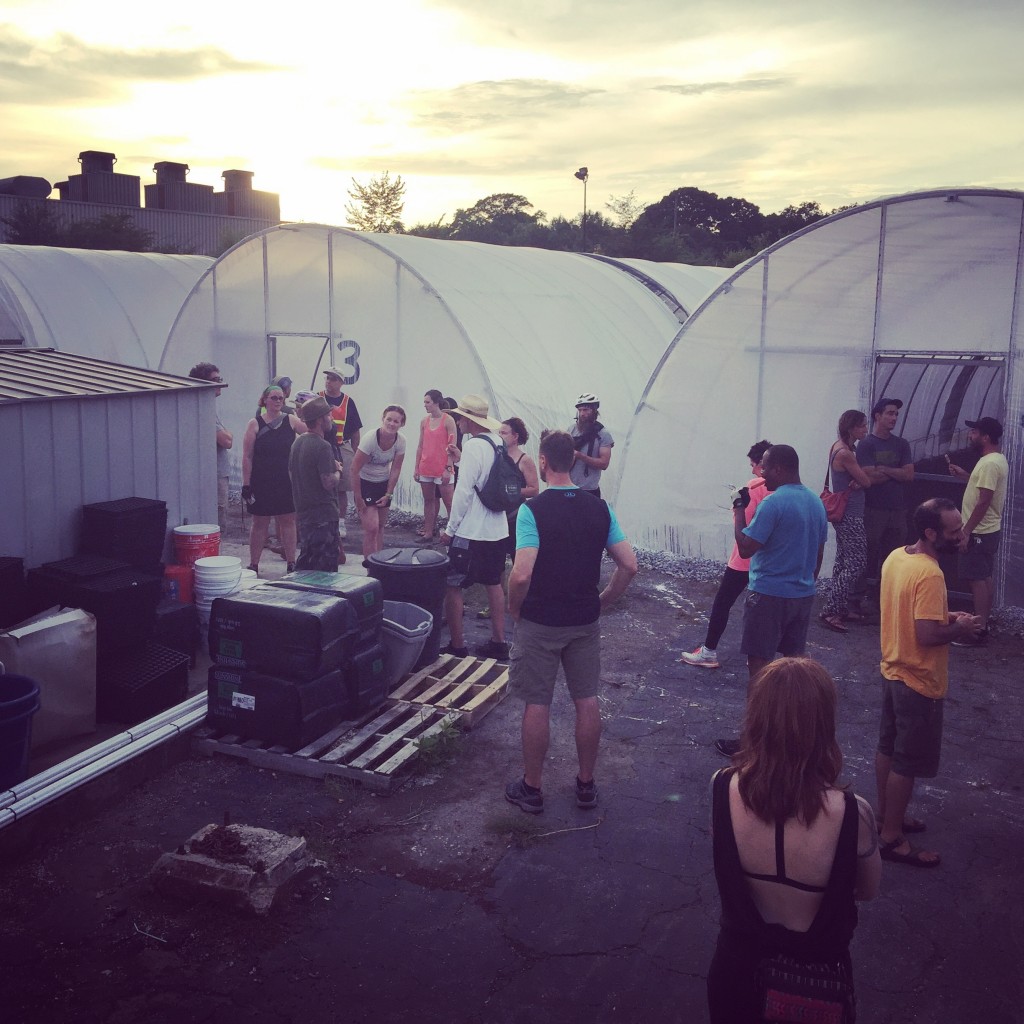 Hoop houses and sunset at Atlanta Harvest